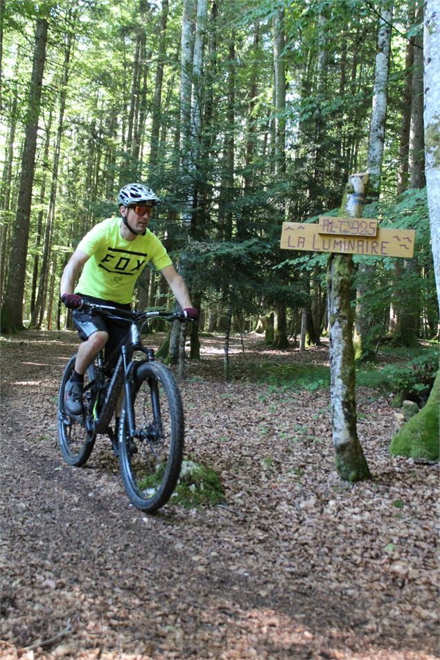 Parcours VTT 56 bleu - Le Jorat - Espace FFC Ain Forestière - Sébastien Beaudon