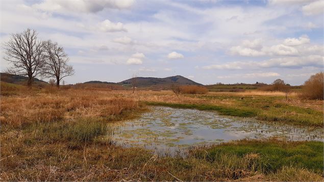 Parcours VTT 54 bleu - Arans et les Hauts d'Evosges - Espace FFC Ain Forestière - Benjamin Dessales