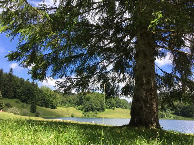 Parcours VTT 69 rouge - Du lac Genin aux bords de Sylans - Espace FFC Ain Forestière - Jean Yves Cre
