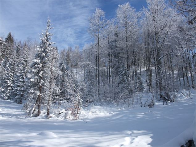 Itinéraire raquettes du Lac Genin - Ain Espace Nordique