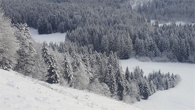 Vue depuis les crêtes à la Praille