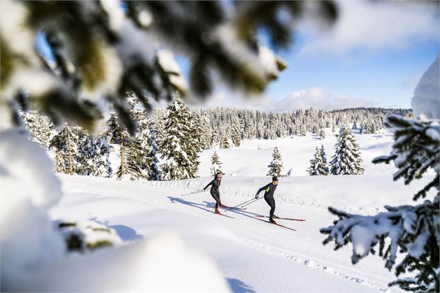 Le marais depuis La Praille - Piste verte de ski nordique - Jérôme Pruniaux - Agence ARGO - HautBuge