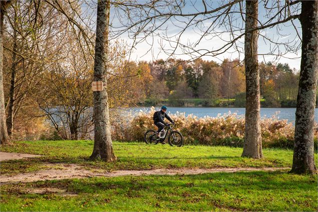 Bouvent en automne - JP Poupon Arcom