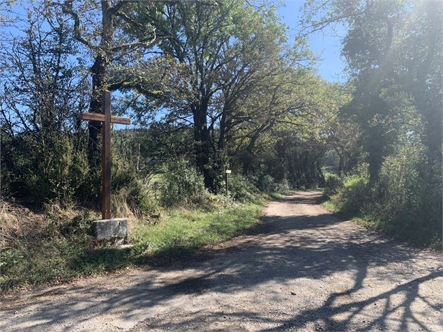 Chemin forestier - Maxime Michel