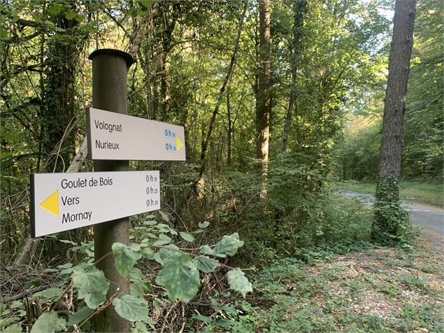 Panneau indicatif - Maxime Michel