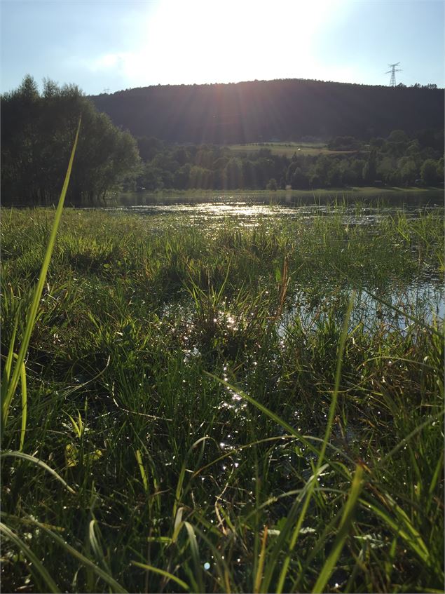 Coucher de soleil - Mélanie Chanel