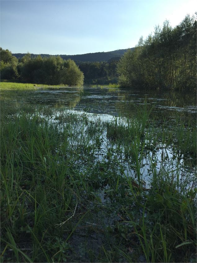 Vue nature - Mélanie Chanel