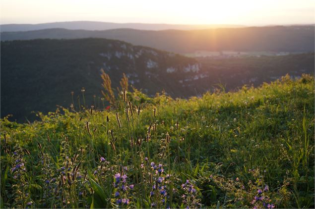 Coucher de soleil - TourismeHautBugey©2014_MarcChatelain