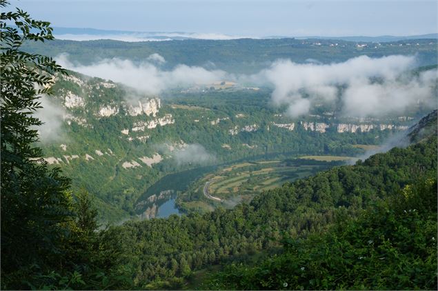 Vue rivière d'Ain - TourismeHautBugey©2014_MarcChatelain