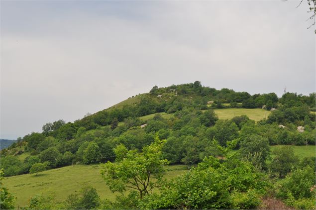 Mont Balvay - TourismeHautBugey©2014_MarcChatelain