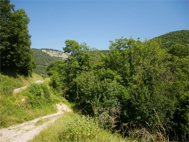 Sentier - TourismeHautBugey©2014_MarcChatelain