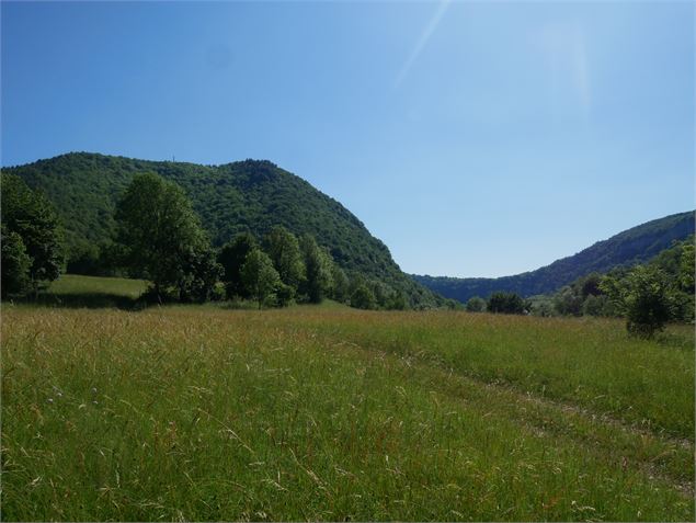 Mont Balvay - TourismeHautBugey©2014_MarcChatelain