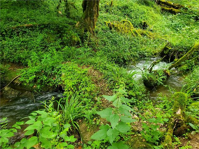 Fontaine noire - Jérôme Pruniaux - Agence ARGO - HautBugeyTourisme