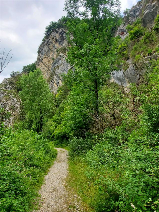 Descente de Matafelon - Jérôme Pruniaux - Agence ARGO - HautBugeyTourisme