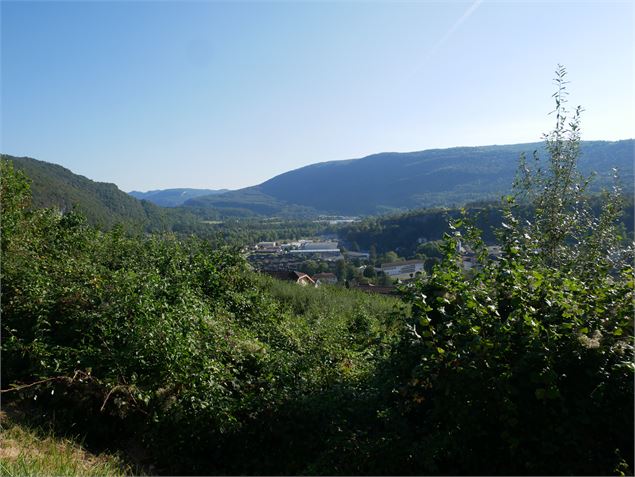 Vue des Montagnes du Jura - Sentiers buissonniers dortanais