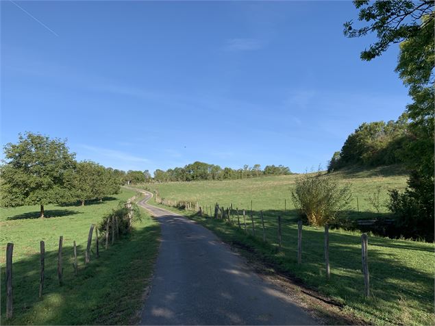 Chemin goudronnée - Maxime Michel