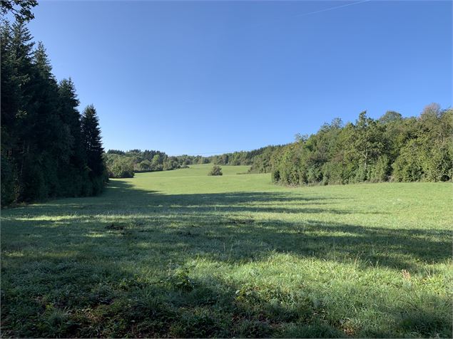 Prairie - Maxime Michel