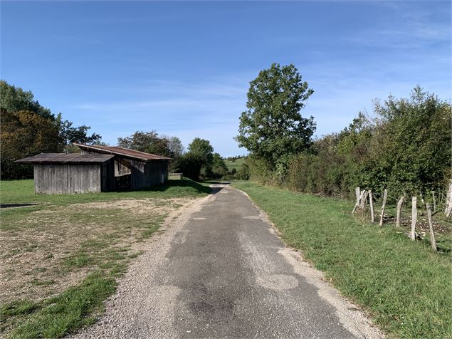 Route goudronnée - Maxime Michel
