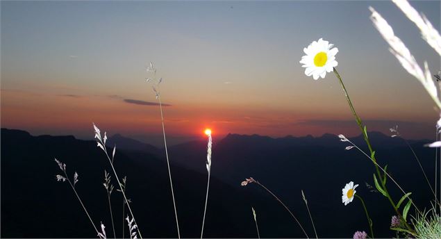 Coucher de soleil - ot sixt-Christian Martelet