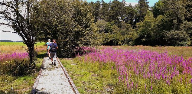 Balade - Autour de Napt - V.Allard – Haut-Bugey Agglomération