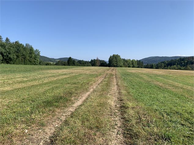 Chemin dans la prairie - Maxime Michel