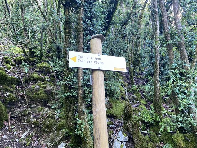 Panneau Fècles - Alizée Gréau