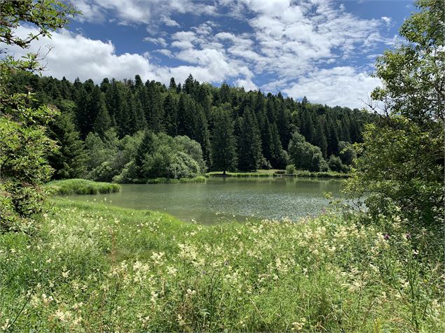 Les étangs Marron - Maxime Michel