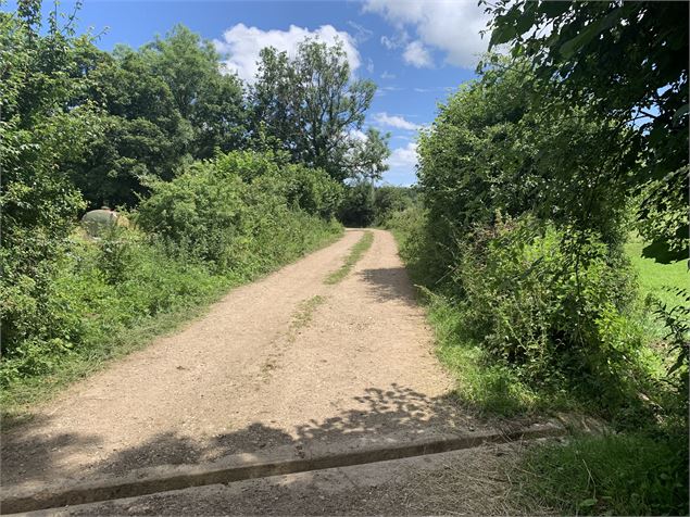 Chemin en gravillons - Maxime Michel