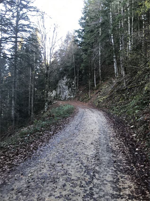 Chemin forestier - B.Morel