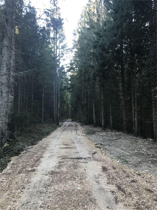 Chemin de Pré Marion - B.Morel