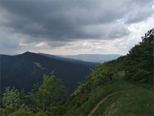 Monts d'Ain - Jean-Yves Crespo