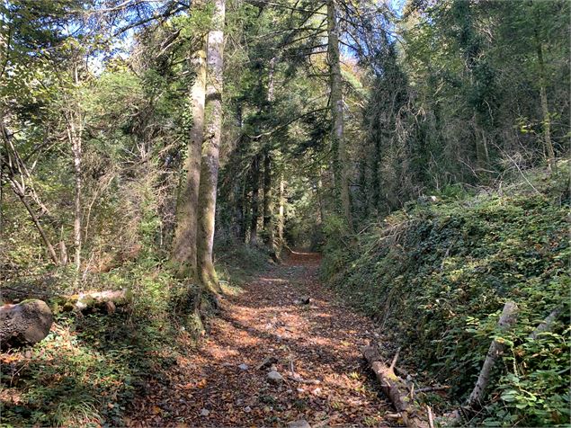 Borne du Pré Carrel depuis Alex - M.Michel