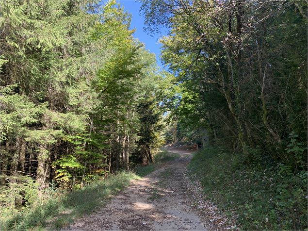 Borne du Prés Carrel depuis Alex - M.Michel