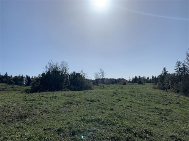 Borne du Prés Carrel depuis Ablatrix - M.Michel