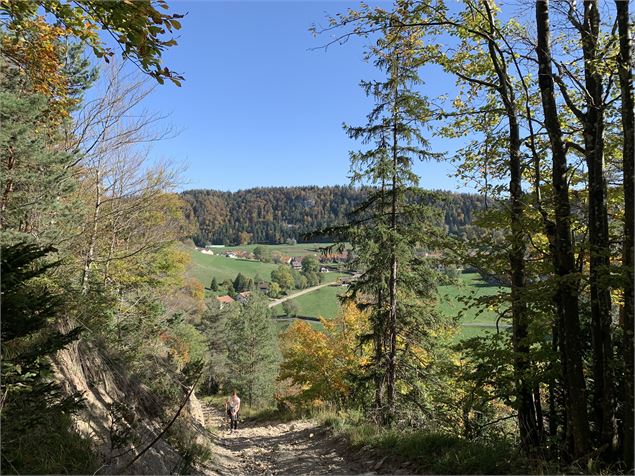 Borne du Prés Carrel depuis Apremont - M.Michel