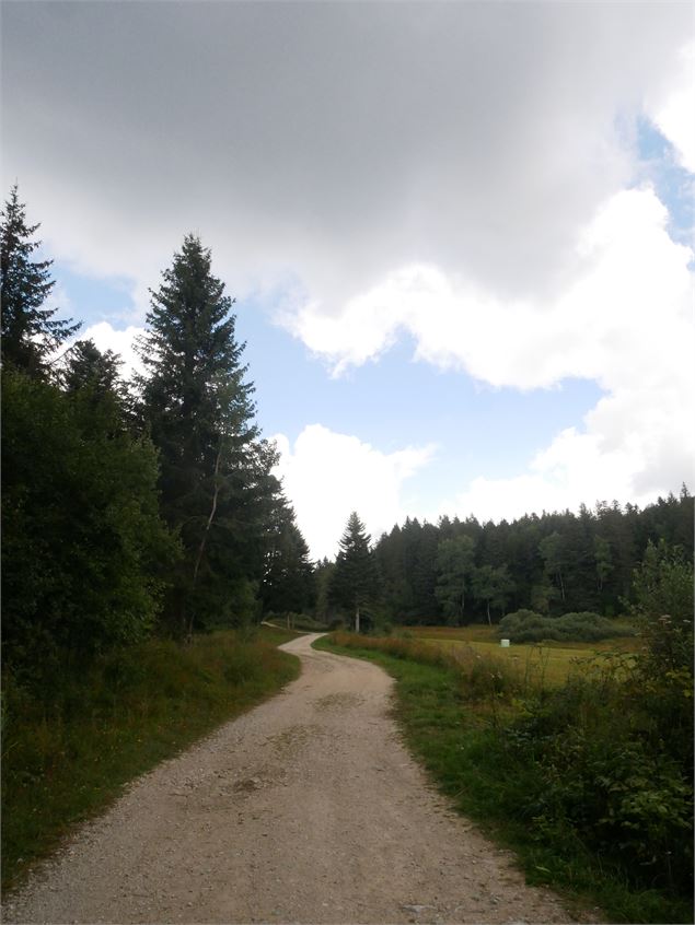 Randonnée - Les Crêtes de la Praille - Christophe Kaderabek