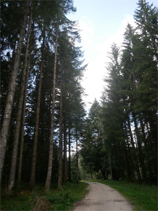 Randonnée - Les Crêtes de la Praille - Christophe Kaderabek