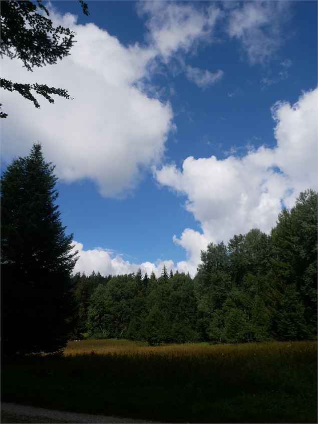 Randonnée - Les Crêtes de la Praille - Christophe Kaderabek