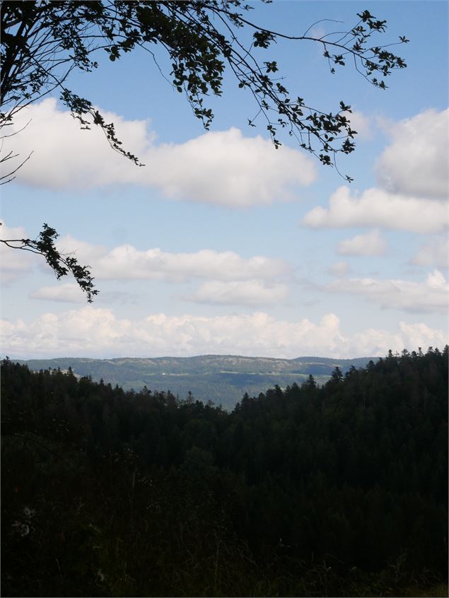 Randonnée - Les Crêtes de la Praille - Christophe Kaderabek