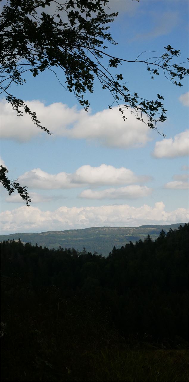 Randonnée - Les Crêtes de la Praille - Christophe Kaderabek