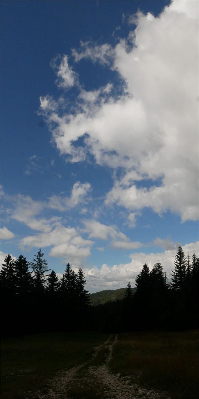 Randonnée - Les Crêtes de la Praille - Christophe Kaderabek