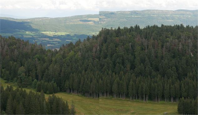 Randonnée - Les Crêtes de la Praille - Christophe Kaderabek