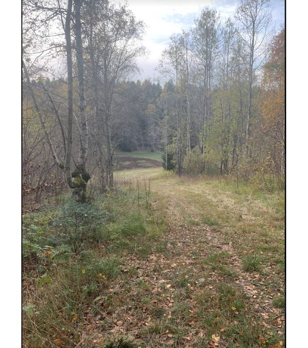 Les crêtes de Valorse