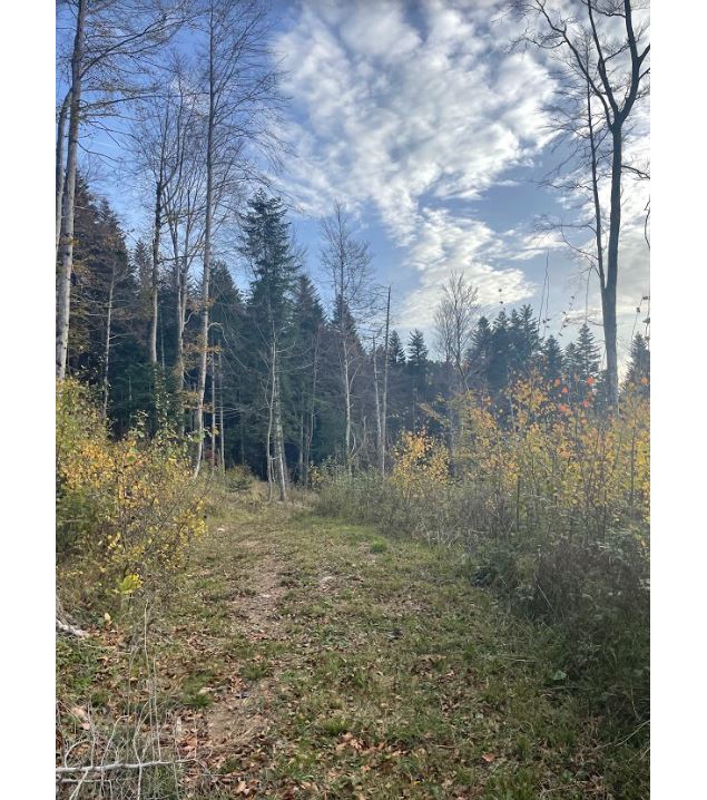 Les crêtes de Valorse