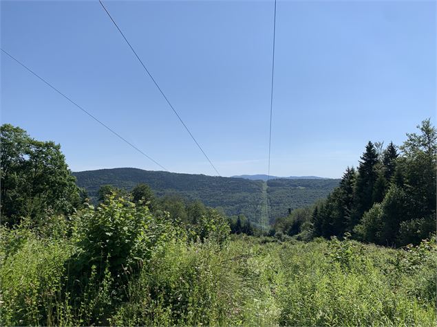 Vue panoramique - Maxime Michel