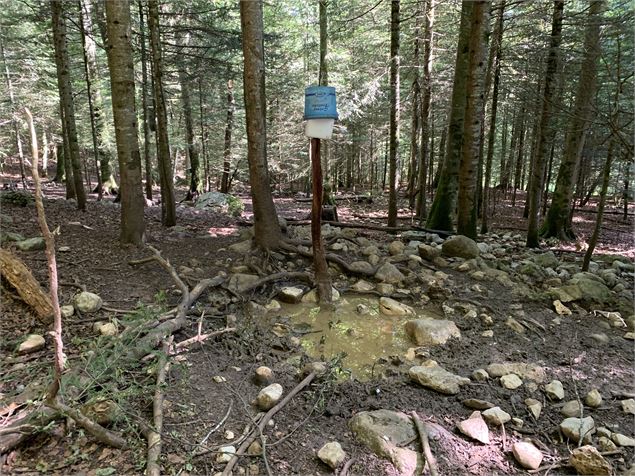 Décoration - Maxime Michel