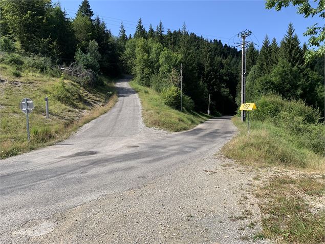 Route goudronnée - Maxime Michel