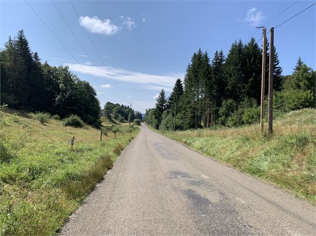 Route goudronnée - Maxime Michel