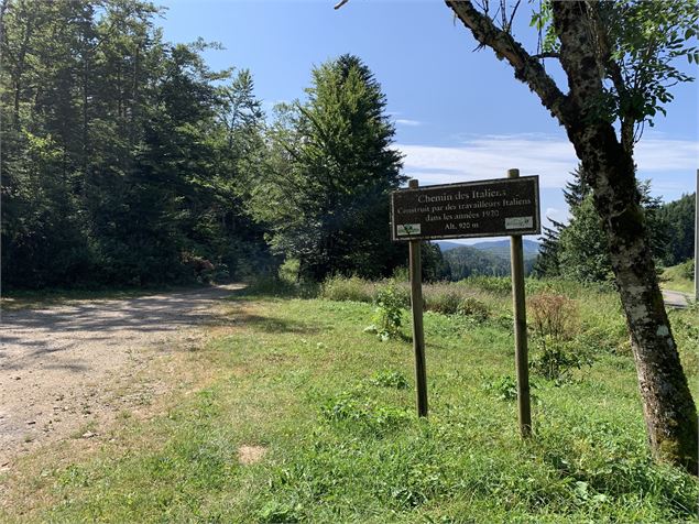 Sentier - Maxime Michel