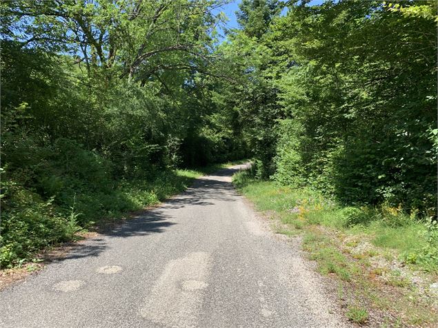 Route goudronnée - Maxime Michel